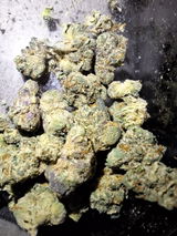 Mr.Dank review photo