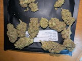 Brad C. review photo