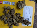 Brad C. review photo