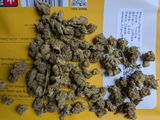 Brad C. review photo