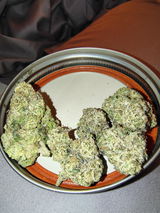 brelva review photo