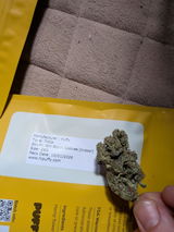 Brad C. review photo