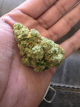 Anibal S. review photo