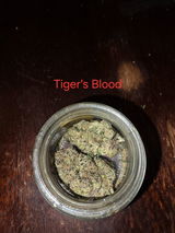 Tyler B. review photo