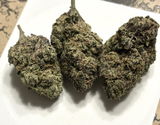 HFEBarb review photo