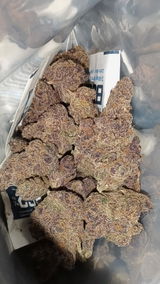 SAUCE V. review photo