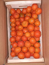 Vincenza review photo