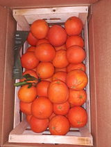 Vincenza review photo