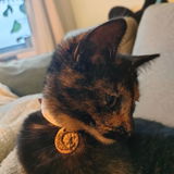 Lucy review photo