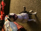 Jacey review photo