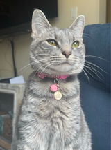 Kylee review photo