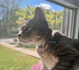 Kylee review photo