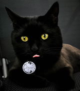 Nella review photo