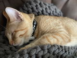 Aurelie review photo