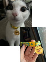Clarabelle review photo
