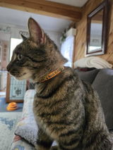 Zita review photo