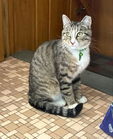 Zena review photo