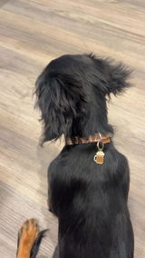 Eunice review photo