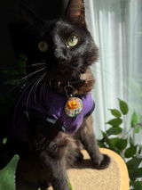 Lenora review photo