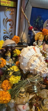 Simran Dhiraj Tolani review photo