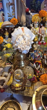 Simran Dhiraj Tolani review photo