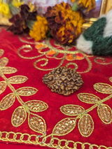 Rekha Pandey review photo