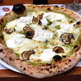 Alex Ciccio review photo