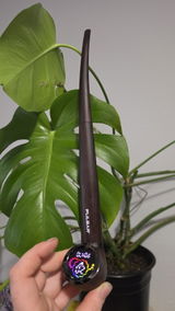Maddy D. review photo