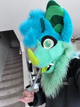 Aurorous review photo