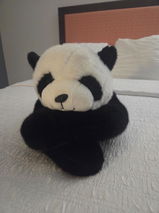 Spiritbear review photo