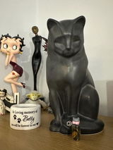 Nic review photo