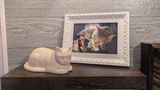 Cassondra review photo