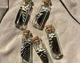 Amber H. review photo