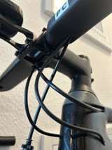 Pascal review photo