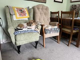 Debra Coleman review photo