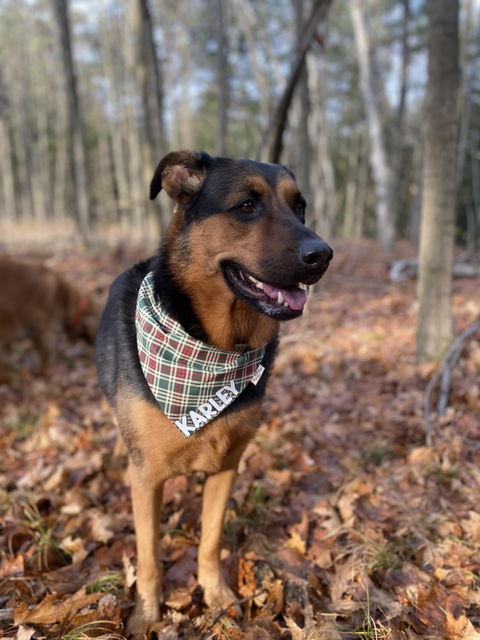 Pup Paw Apparel Co.