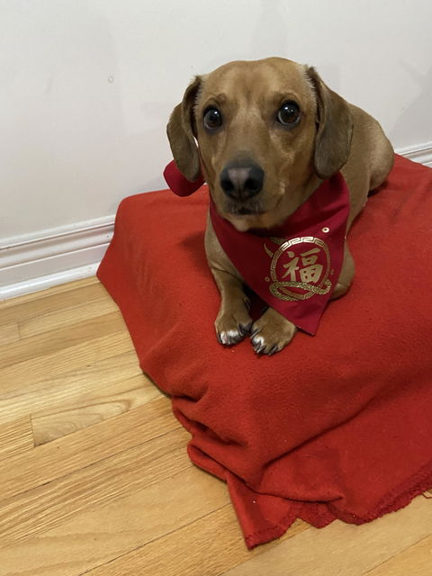 Lucky Red