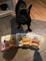 Tami and Chapo the Frenchie review photo