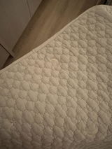 Lemon review photo
