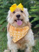 Rosie review photo