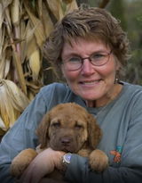 Cat Weil, Timbercreek Acres Chesapeake Bay Retrievers review photo
