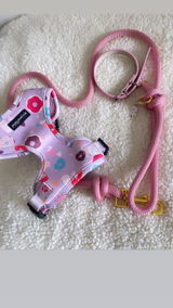 Claire Wallis review photo