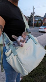 Laina P. review photo