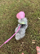 Mazzy S. review photo