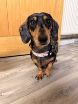 Pheobe Blandford review photo