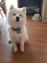 Maddie review photo