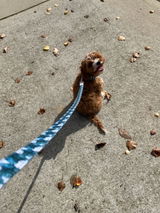 Natacha W. review photo
