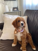 Sophie S. review photo
