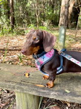 Susan T. review photo