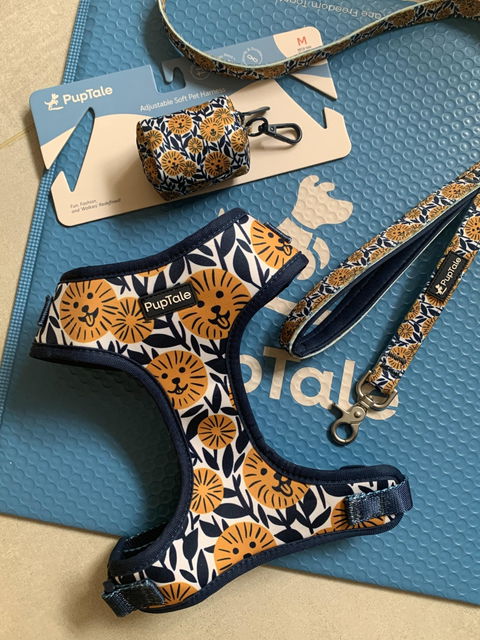 Adjustable Dog Harness | Spring Sunflower Blue & Yellow